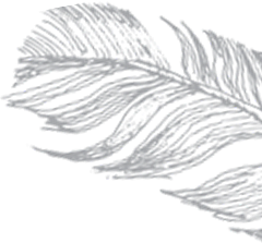 background-feather
